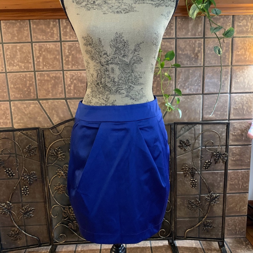 blue skirt